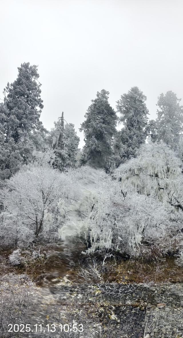 秋假第二天——邂逅毕棚沟的晚秋