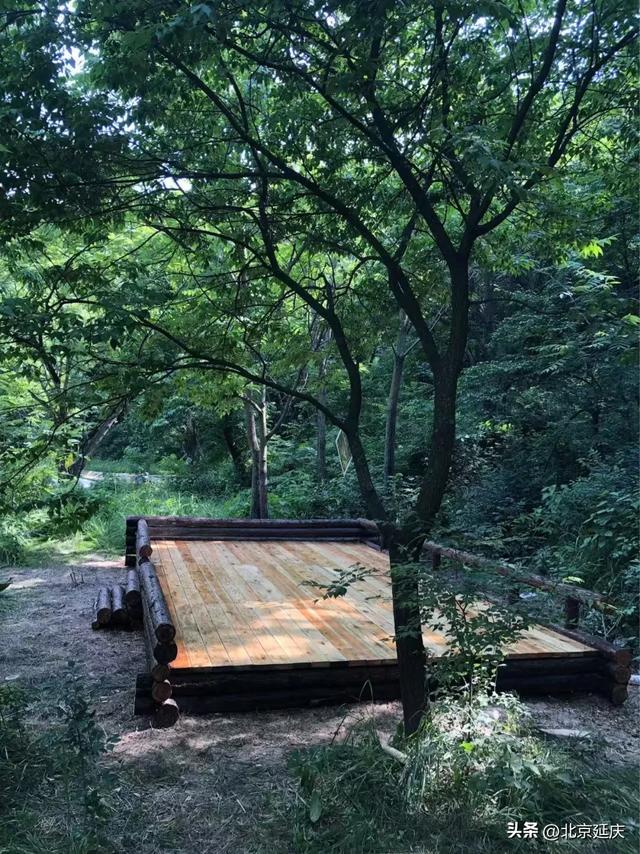 总长近150公里~延庆将建成两条森林步道——