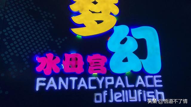青岛，我来了