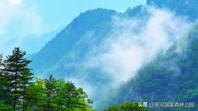 初秋美景大放送，自驾黑河，感受秋天的第一份浪漫！