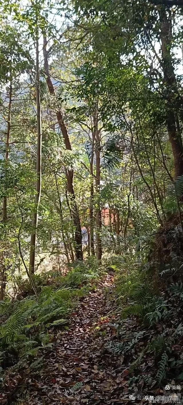 环浙步道上的小众穿越秘境,这条充满挑战的徒步环线你可去过?