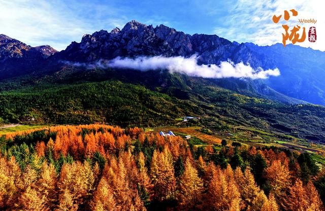 【小陇画报·439期】舟曲：绚丽赛尔布 斑斓满眼秋