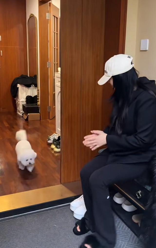 伊能静晒上海豪宅，中年发福大肚子110斤 吊带配紧身裤风格随恩利