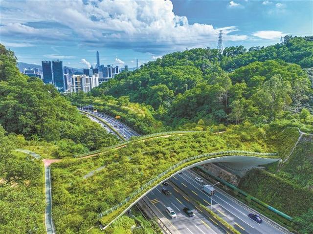 【深圳特区报】深圳高质量实施山海连城计划 “一脊一带二十廊”勾勒现代化都市新图景