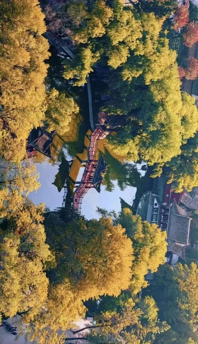 临夏秋日：在暖阳里邂逅街巷与公园的诗意