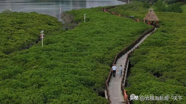 跨越山海，遇见防城港：一条边、一片海、一座城的共生之路