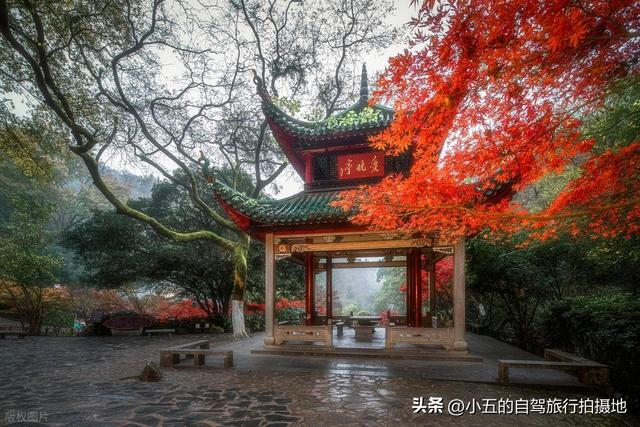 10-11 月 8 城穷游实测攻略！高铁直达 + 秋色浓 + 消费低，直接抄