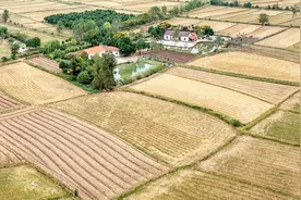 农村是“集体化”好还是“包产到户”好？图片