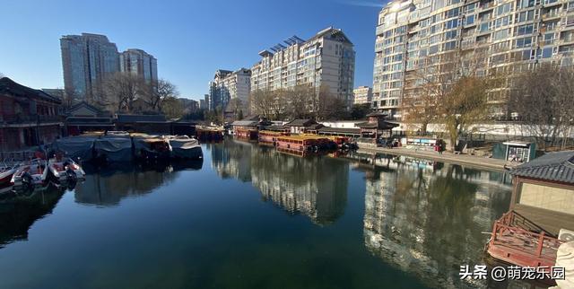 紫竹院冬日偶遇退休教授，一句话让我明白生活9个层次