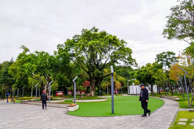 大理，更绿更美了