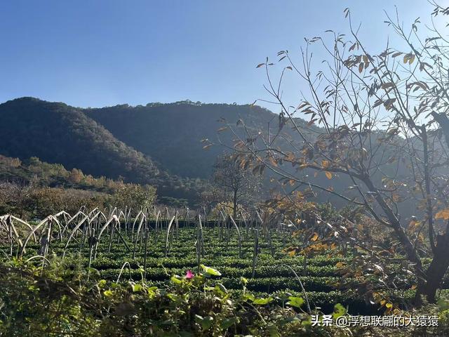 泰安岱岳区曹家庄隐佛崖打山泉水游记