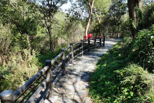 荆门圣境山“低空文旅”火了！武汉城建集团设计团队解码出圈密码