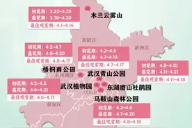 2025年武汉杜鹃花花期预报来啦图片