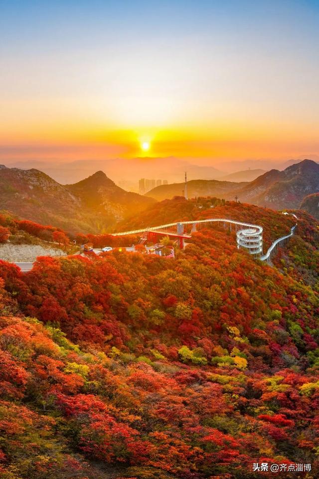 最佳赏红期已至——红叶柿岩开启“全红模式”！