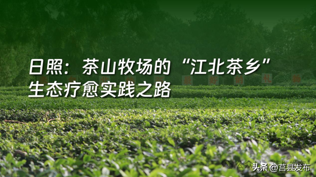 茶山牧场，入选省级典型案例！