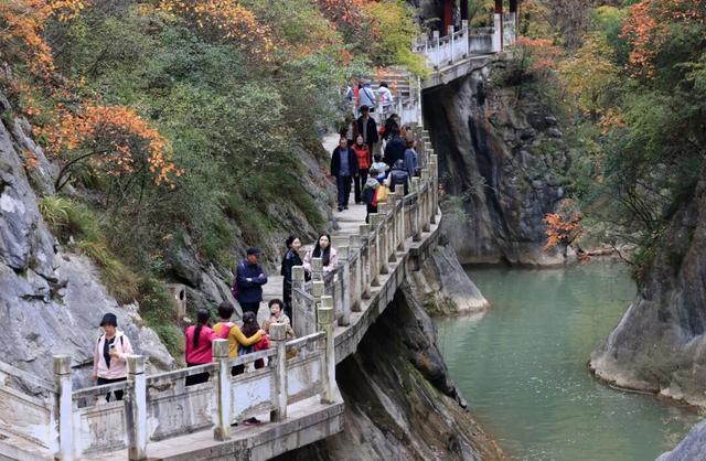 这才是秋天该有的样子~