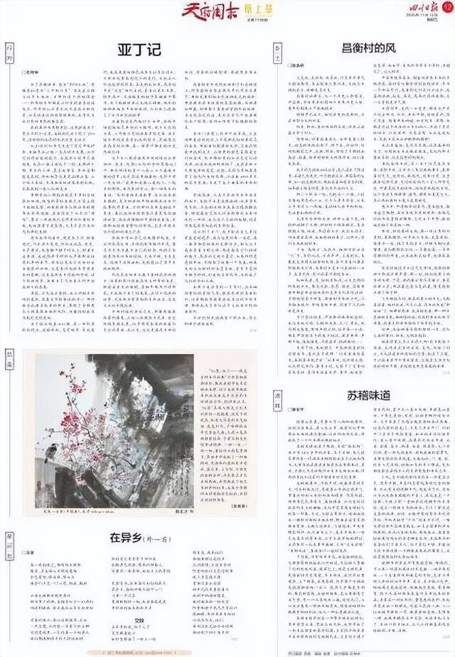 【美丽四川】亚丁记‖杜阳林