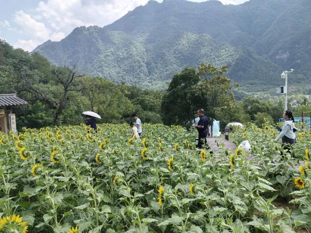 逃离城市热浪 | 清凉秘境 · 云屏三峡正在等你