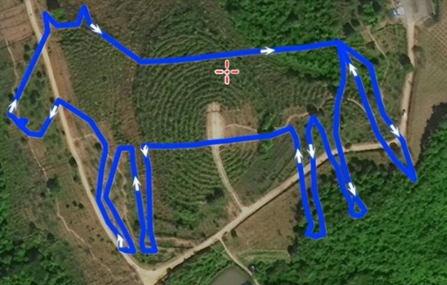 深圳惊现各种“马”？网友：太会玩了，求加入