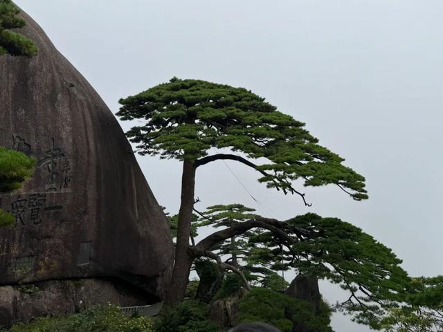 徒步三山五岳：安徽黄山！