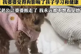 后续来了！南京狠婆婆砍死儿媳三条狗，老公暖心，小姑发言遭群嘲图片