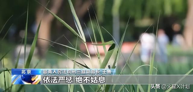 大批内鬼被抓！公安部披露惊人内幕，幕后黑手身份曝光，不简单