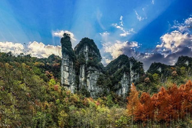 上坝彩林 彩林坝上