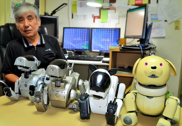 机械宠物也能葬礼？情绪服务升级，宠物经济迎来高质量发展新时机