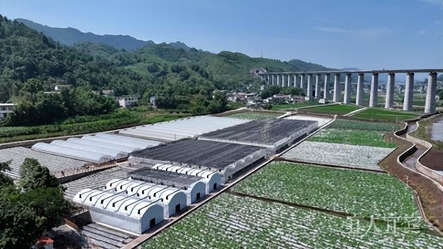 区县新“势”调研行·高县丨文旅融合一路高歌 诗与远方正当其时