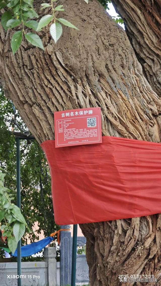 从通辽想进入草原，没想到先看见了沙漠。从来没见过的地貌，震撼