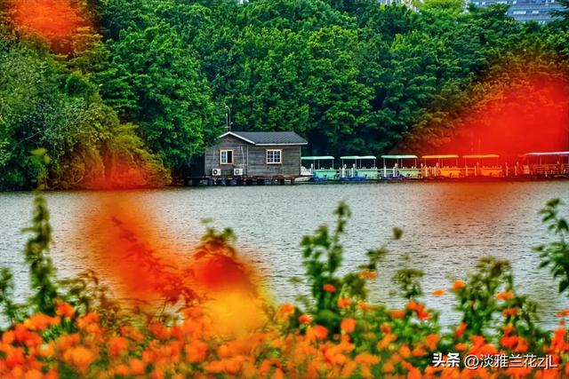 海珠湖公园秋日浪漫盛景