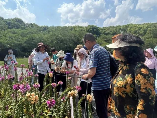 快收藏！苏州园林八月打卡指南！