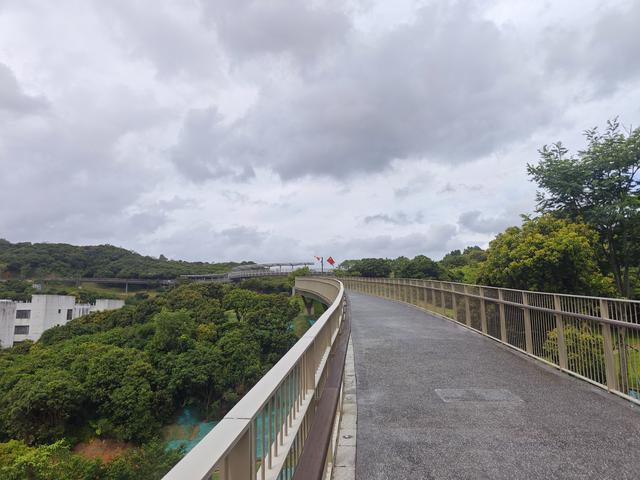 西丽湖国际科教城绿道高清随拍