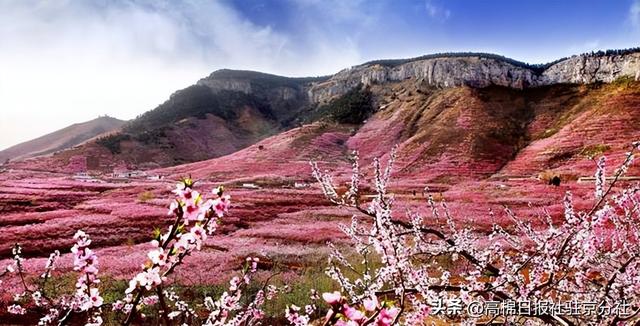 中国第五大造型地貌——岱崮地貌