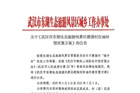 拆迁款只能拿到30%现金？武汉一城中村发布补偿方案图片