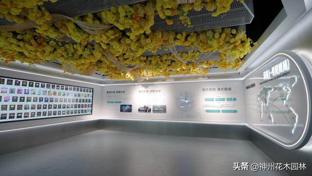 斗南花卉展览馆揭幕：全面展现从“花街”到“花都”的华丽蝶变