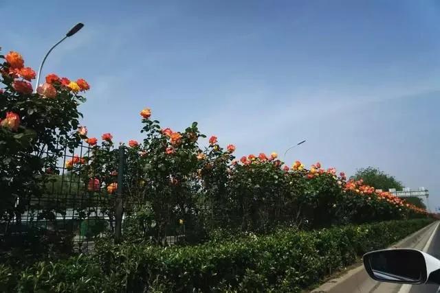 首都环路知多少