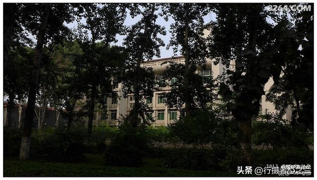 山东行游影记（17）—济南山东大学（四）