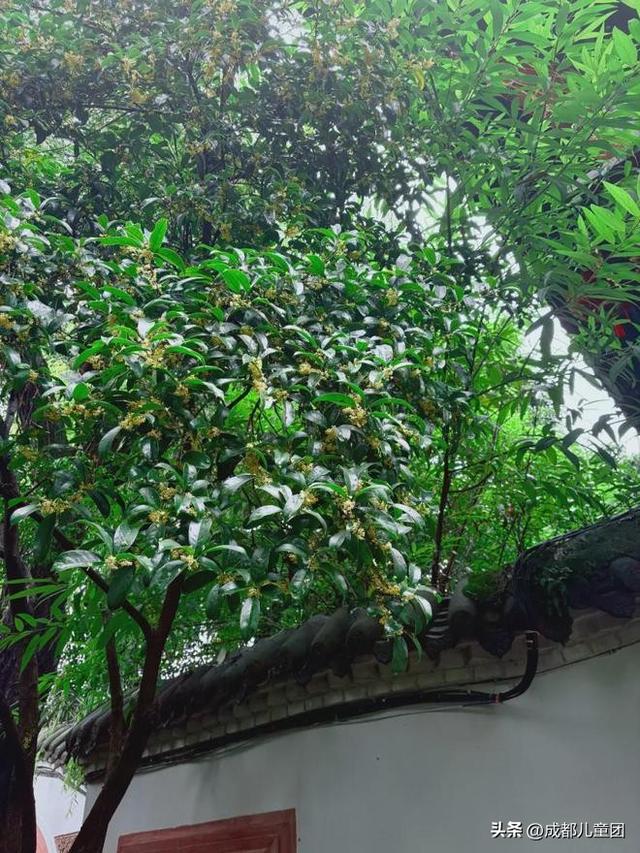 新都，被低估的好地方