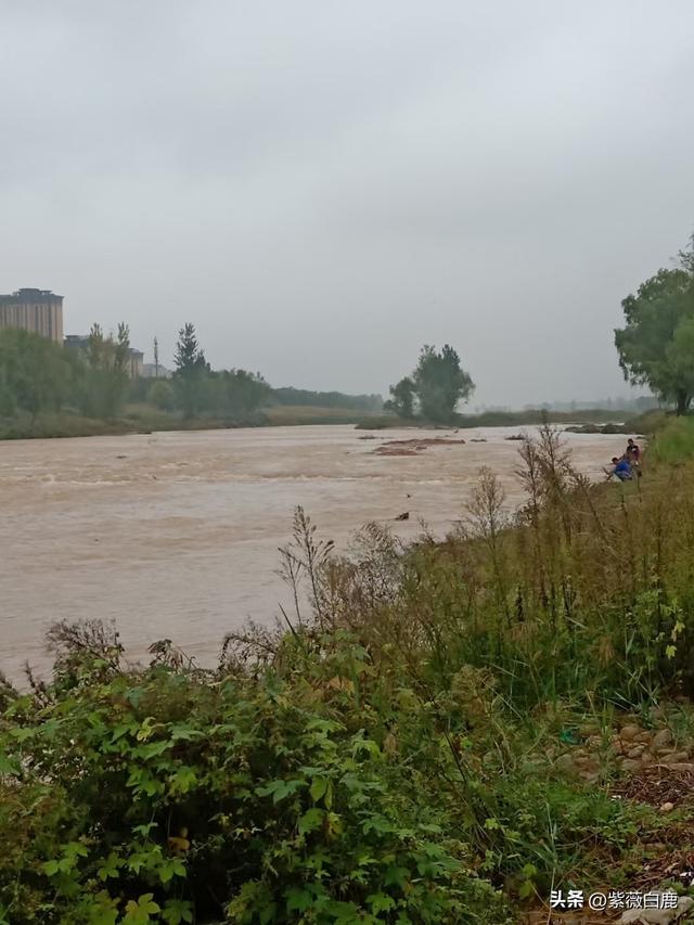 灞桥——这水，这柳