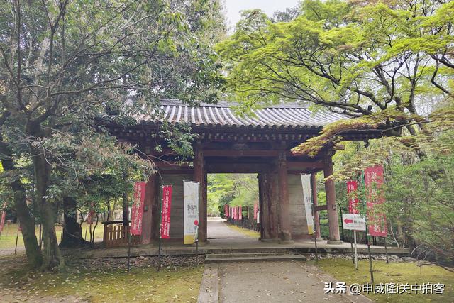 日本京都：走进醍醐寺