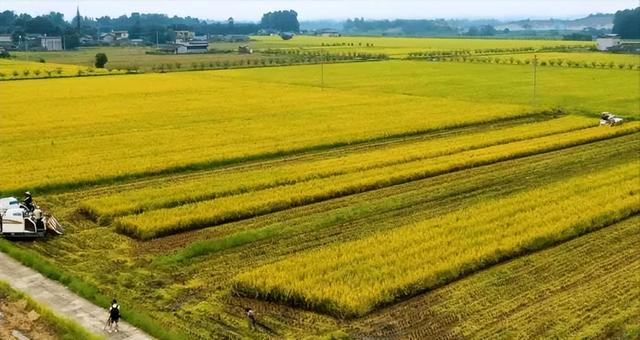 都江堰：哪是什么水利工程，分明是活着的仙园