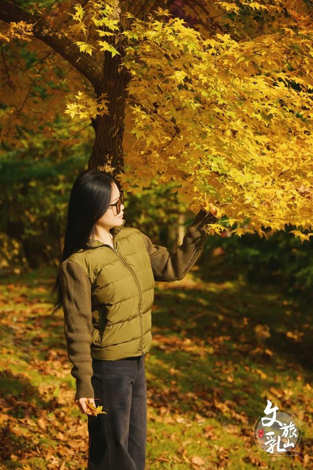 当秋风吻过乳山：一场关于色彩与治愈的漫步指南