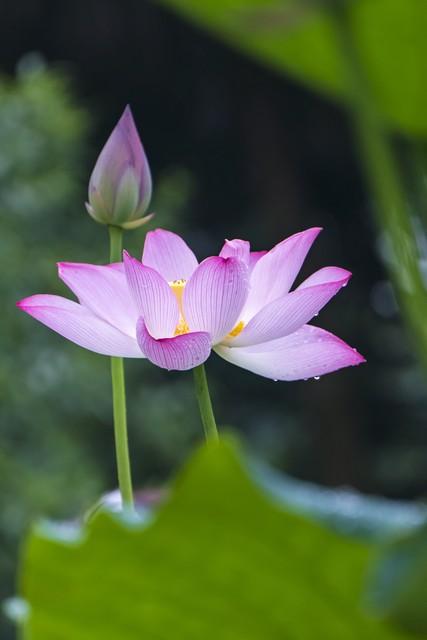 两性关系：牢牢记住这五个真相	，哪怕熬过再难的日子也能相守到老