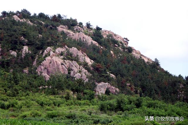 组图：海阳盘石店镇“松山”掠影