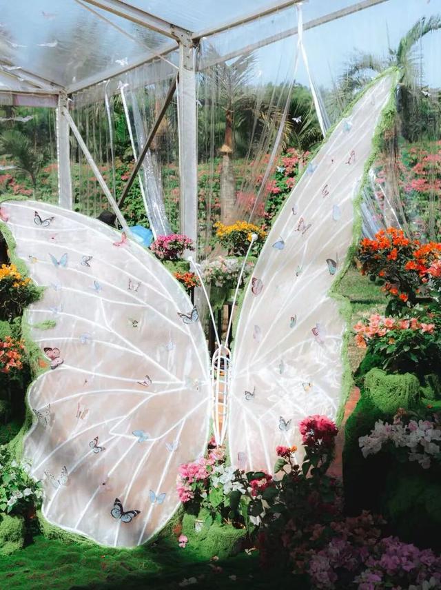 福田限定！11月起，在光影与花海中邂逅城市艺术