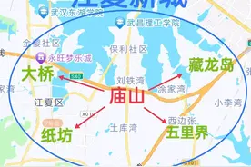 建议江夏区政府迁至庙山，力促汤逊湖两岸统一，江夏新城中部崛起图片