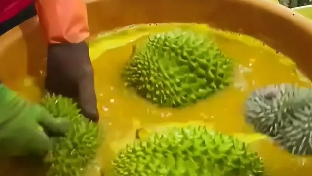 失去中国市场后，大量水果烂在地里卖不出去，才后悔“得罪”中国
