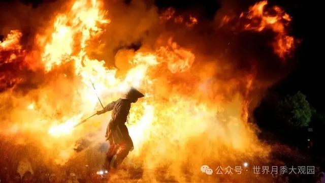 南阳世界月季大观园2025国庆月季文化周来了！
