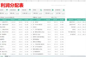 这才是领导爱看的可视化利润分配表模板，你做的就是流水账图片